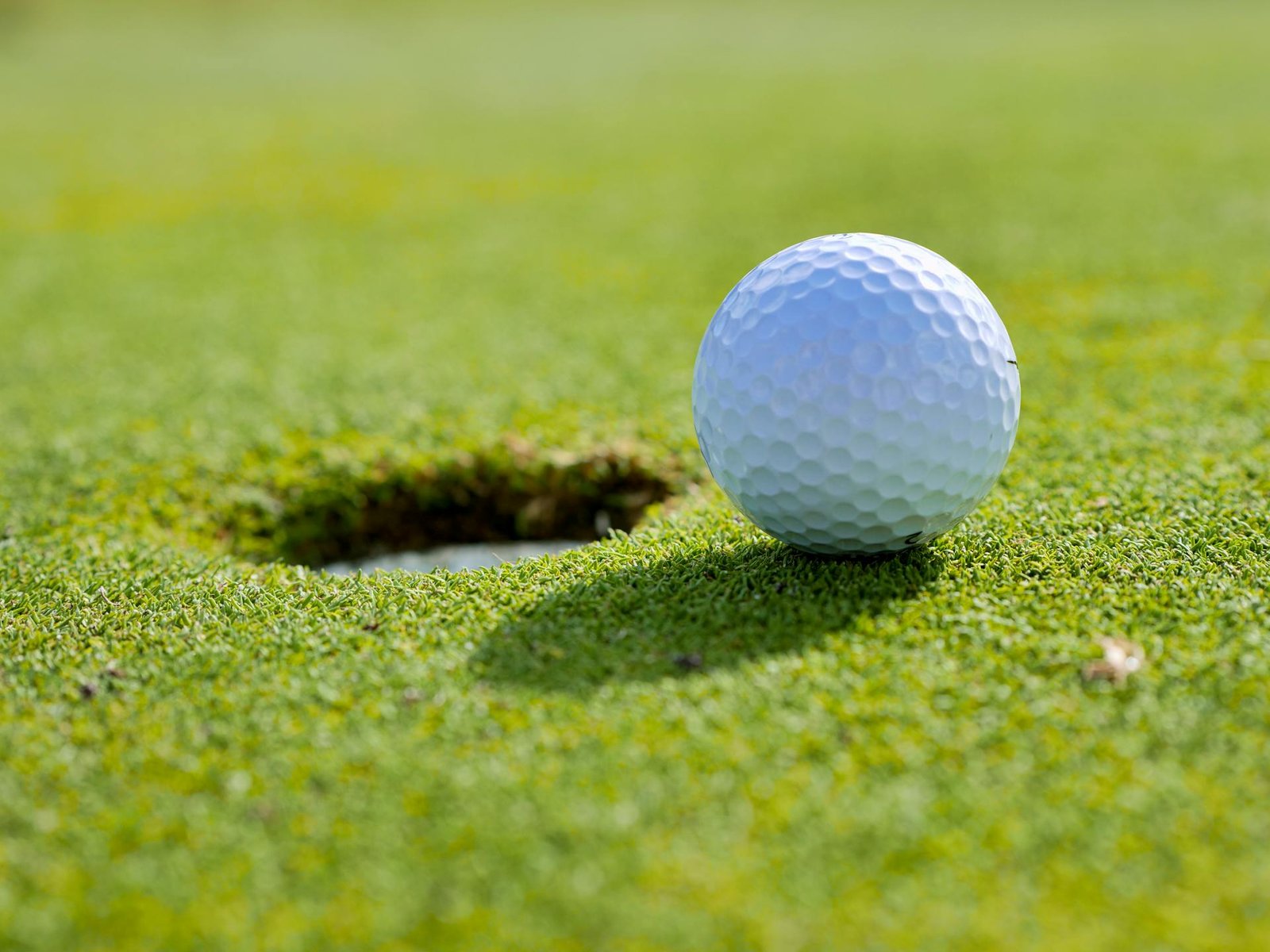 Cocotal Golf